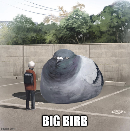 Beeg Birb | BIG BIRB | image tagged in beeg birb | made w/ Imgflip meme maker