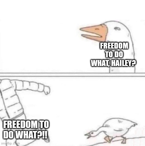 Goose Chase | FREEDOM TO DO WHAT, HAILEY? FREEDOM TO DO WHAT?!! | image tagged in goose chase | made w/ Imgflip meme maker