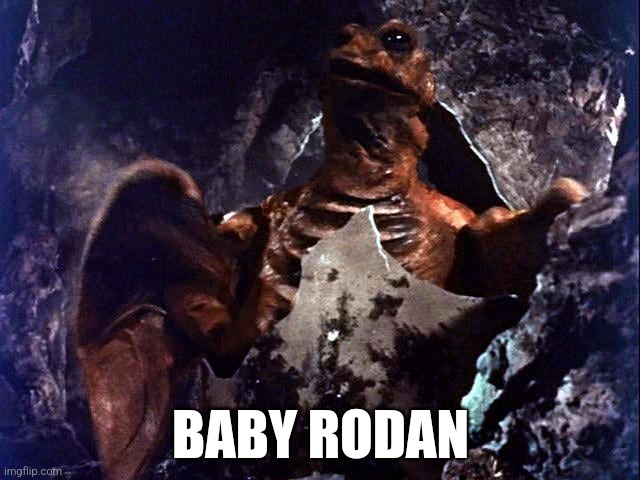 Baby Rodan | BABY RODAN | image tagged in baby rodan | made w/ Imgflip meme maker