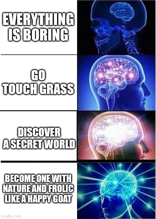 Expanding Brain Meme | EVERYTHING IS BORING; GO TOUCH GRASS; DISCOVER A SECRET WORLD; BECOME ONE WITH NATURE AND FROLIC LIKE A HAPPY GOAT | image tagged in memes,expanding brain | made w/ Imgflip meme maker