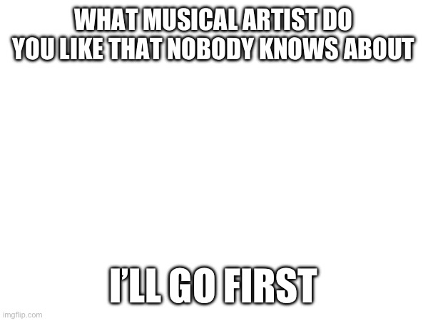 WHAT MUSICAL ARTIST DO YOU LIKE THAT NOBODY KNOWS ABOUT; I’LL GO FIRST | made w/ Imgflip meme maker