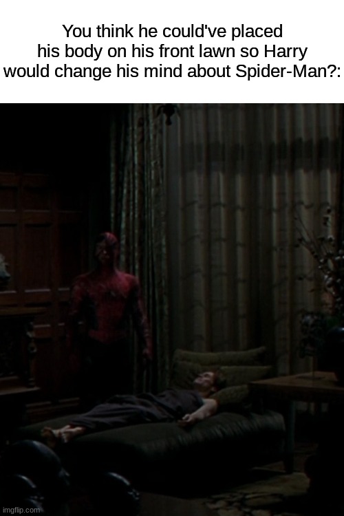 Spider-Man mistake | You think he could've placed his body on his front lawn so Harry would change his mind about Spider-Man?: | image tagged in memes,spiderman,marvel,superhero,movies | made w/ Imgflip meme maker