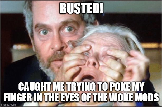Bird box eyes open | BUSTED! CAUGHT ME TRYING TO POKE MY FINGER IN THE EYES OF THE WOKE MODS | image tagged in bird box eyes open | made w/ Imgflip meme maker