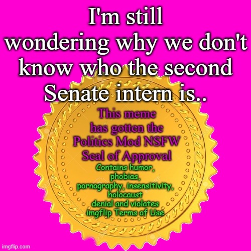 Everyone is entitled to their own 15  minutes of fame... | I'm still wondering why we don't know who the second Senate intern is.. | image tagged in blank hot pink background | made w/ Imgflip meme maker