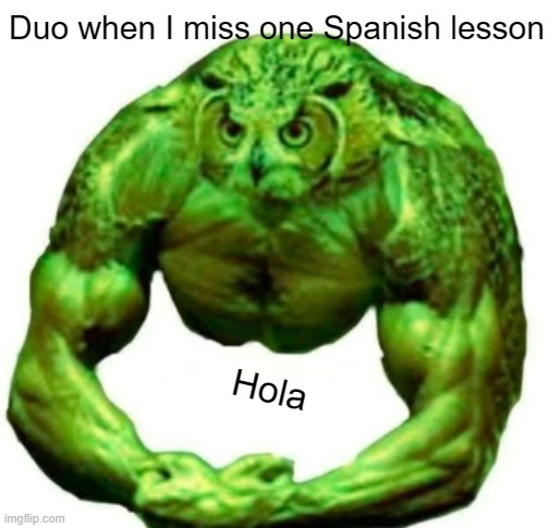 HELP | Duo when I miss one Spanish lesson; Hola | image tagged in buff duolingo | made w/ Imgflip meme maker
