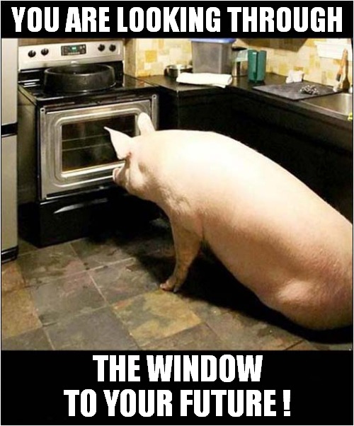 A Curious Pig ! | YOU ARE LOOKING THROUGH; THE WINDOW TO YOUR FUTURE ! | image tagged in pigs,oven,future,dark humour | made w/ Imgflip meme maker
