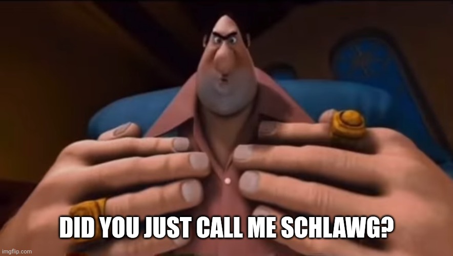 Do i amuse you? | DID YOU JUST CALL ME SCHLAWG? | image tagged in do i amuse you | made w/ Imgflip meme maker