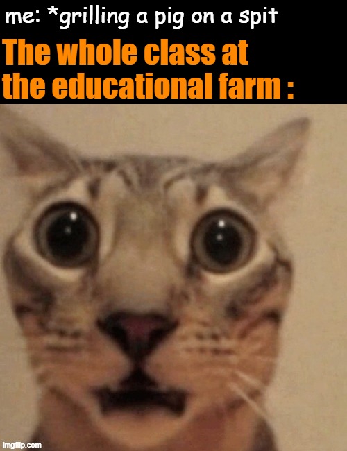 Kids are so sensitive nowadays... | me: *grilling a pig on a spit; The whole class at the educational farm : | image tagged in in shock | made w/ Imgflip meme maker