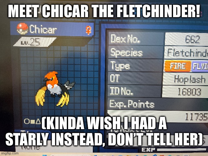 MEET CHICAR THE FLETCHINDER! (KINDA WISH I HAD A STARLY INSTEAD, DON’T TELL HER) | made w/ Imgflip meme maker