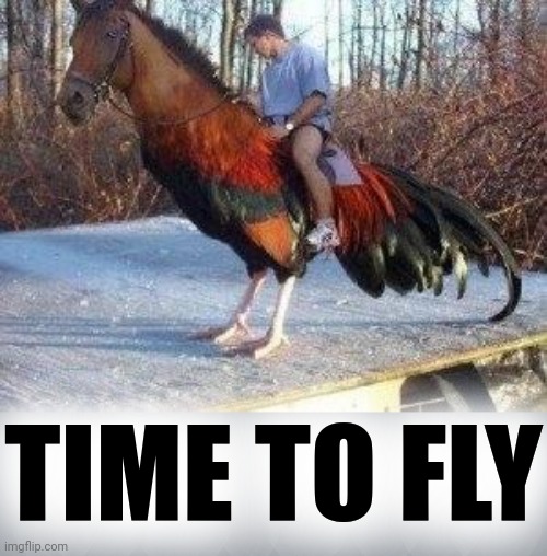 Horsecock | TIME TO FLY | image tagged in horsecock | made w/ Imgflip meme maker