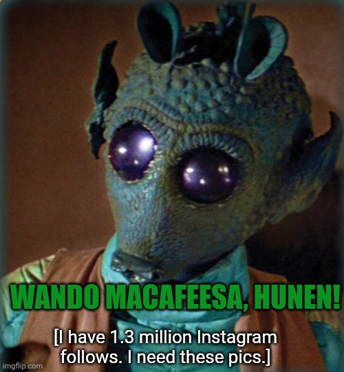 Greedo say what | [I have 1.3 million Instagram follows. I need these pics.] WANDO MACAFEESA, HUNEN! | image tagged in greedo say what | made w/ Imgflip meme maker