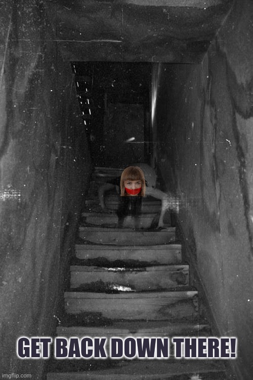Creepy Basement Girl | GET BACK DOWN THERE! | image tagged in creepy basement girl | made w/ Imgflip meme maker