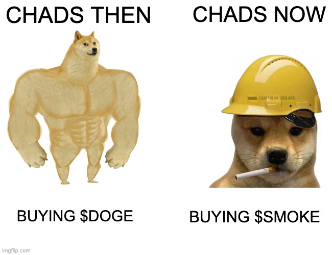 DOGE | CHADS THEN; CHADS NOW; BUYING $SMOKE; BUYING $DOGE | image tagged in memes,buff doge vs cheems | made w/ Imgflip meme maker