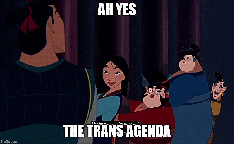 rewatched mulan | AH YES; THE TRANS AGENDA | image tagged in lol so funny,transgender,mulan,me and the boys | made w/ Imgflip meme maker