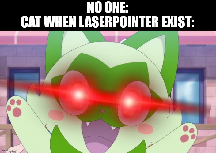 I would be surprised, if the cat didn't care the Laserpointer. | NO ONE:
CAT WHEN LASERPOINTER EXIST: | image tagged in memes,funny,no one,cats,laserpointer | made w/ Imgflip meme maker