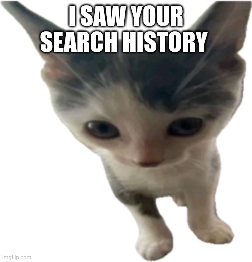 bartholomäus gilbert jr | I SAW YOUR SEARCH HISTORY | image tagged in bartholom us gilbert jr | made w/ Imgflip meme maker