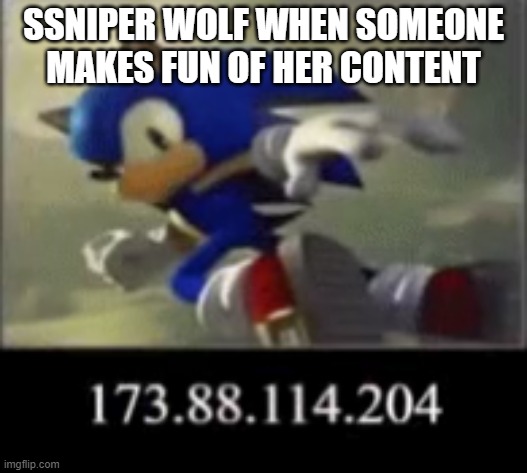 sonic ip doxx | SSNIPER WOLF WHEN SOMEONE MAKES FUN OF HER CONTENT | image tagged in sonic ip doxx | made w/ Imgflip meme maker
