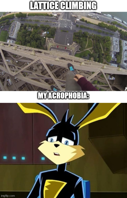 Fear of Heights | LATTICE CLIMBING; MY ACROPHOBIA: | image tagged in james kingston,lattice climbing,meme,memes,template,loonatics unleashed | made w/ Imgflip meme maker