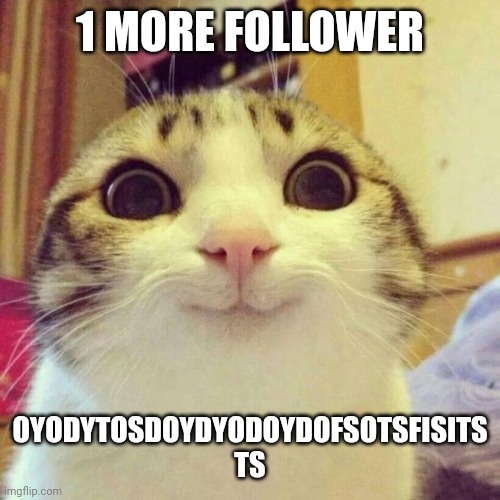 Smiling Cat | 1 MORE FOLLOWER; OYODYTOSDOYDYODOYDOFSOTSFISITS TS | image tagged in memes,smiling cat | made w/ Imgflip meme maker