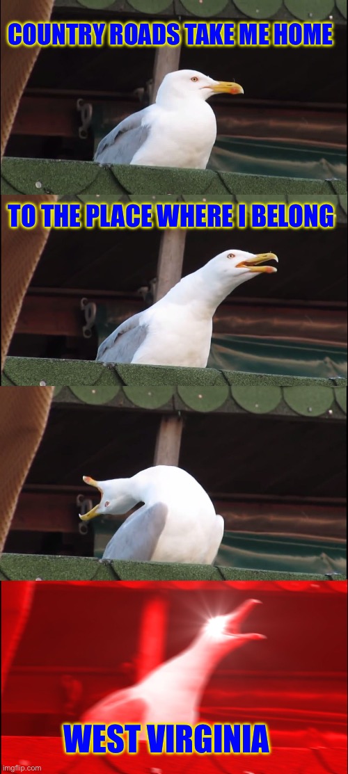 30-10 my dad is happy | COUNTRY ROADS TAKE ME HOME; TO THE PLACE WHERE I BELONG; WEST VIRGINIA | image tagged in memes,inhaling seagull,west virginia,country,roads | made w/ Imgflip meme maker