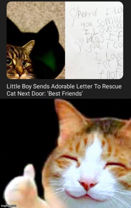 Adorable letter | image tagged in happy thumbs up cat,cats,cat,letter,memes,letters | made w/ Imgflip meme maker
