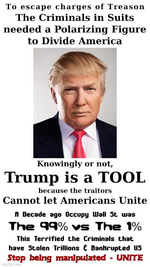 Trans Athletes, Gay Porn in Schools... It's all Manipulation for Division. Focus on the Tr**tors in Wall St & DC. | made w/ Imgflip meme maker
