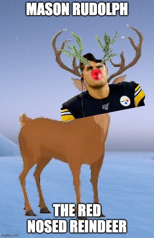 the red nosed reindeer | MASON RUDOLPH; THE RED NOSED REINDEER | image tagged in nfl | made w/ Imgflip meme maker
