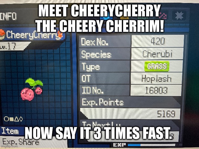 I promise I won’t spam this stuff, I just thought this was funny.  | MEET CHEERYCHERRY THE CHEERY CHERRIM! NOW SAY IT 3 TIMES FAST. | made w/ Imgflip meme maker
