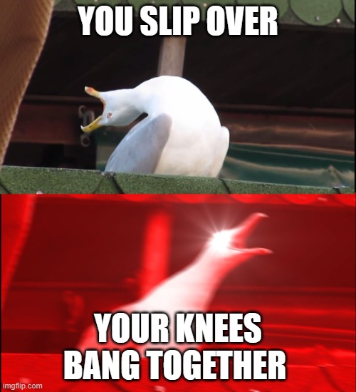 it fricking hurts | YOU SLIP OVER; YOUR KNEES BANG TOGETHER | image tagged in screaming bird,sad,lol so funny | made w/ Imgflip meme maker