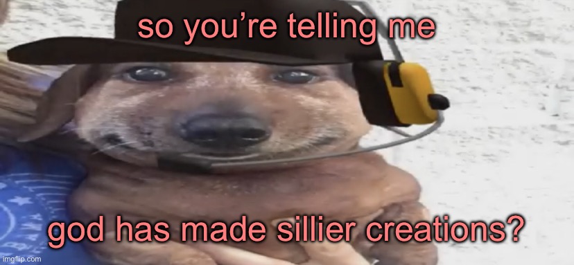chucklenuts | so you’re telling me; god has made sillier creations? | image tagged in chucklenuts | made w/ Imgflip meme maker