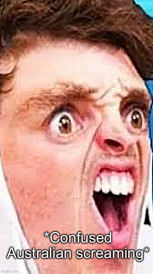 I made this | *Confused Australian screaming* | made w/ Imgflip meme maker