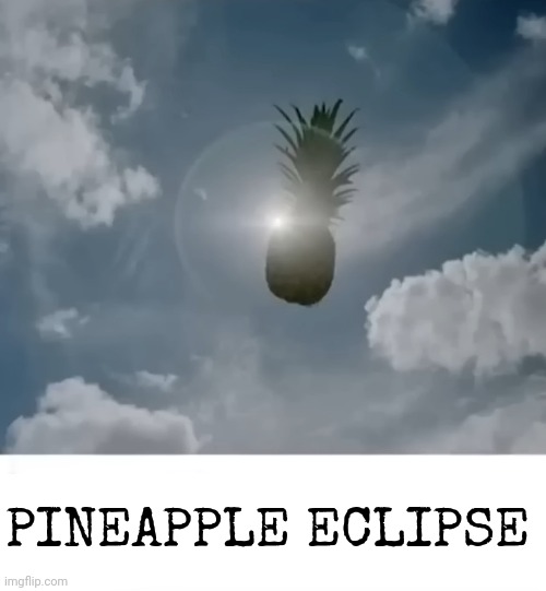 PINEAPPLE ECLIPSE | made w/ Imgflip meme maker