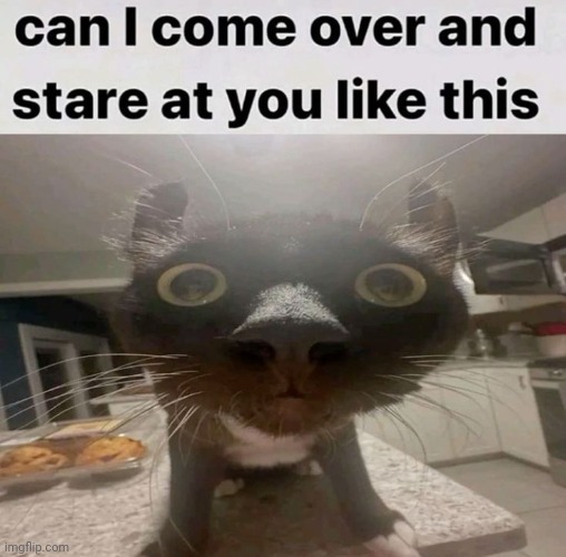 oh my god i woke up at fucking 1:30 pm | made w/ Imgflip meme maker
