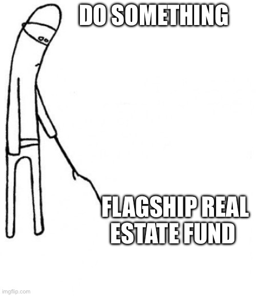 c'mon do something | DO SOMETHING; FLAGSHIP REAL ESTATE FUND | image tagged in c'mon do something | made w/ Imgflip meme maker