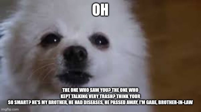 The Brother In Law | OH; THE ONE WHO SAW YOU? THE ONE WHO
KEPT TALKING VERY TRASH? THINK YOUR
SO SMART? HE'S MY BROTHER, HE HAD DISEASES, HE PASSED AWAY, I'M GABE, BROTHER-IN-LAW | image tagged in gabe the dog | made w/ Imgflip meme maker