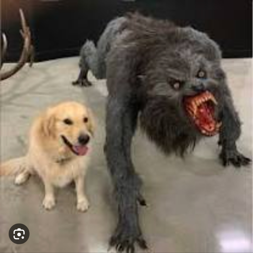 Labrador monster Blank Meme Template
