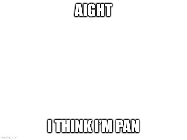 Reasons in comments | AIGHT; I THINK I’M PAN | made w/ Imgflip meme maker