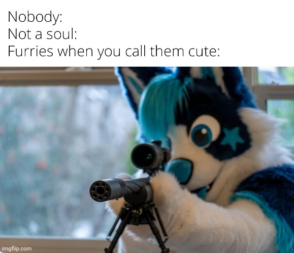 :( i just wanted to call a furry cute | made w/ Imgflip meme maker
