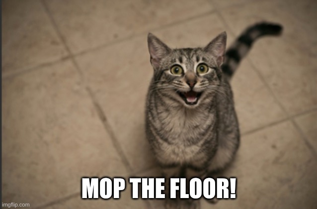 People Are Nasty. | MOP THE FLOOR! | image tagged in cat,dirty,nasty,clean up,what if i told you,that face you make when | made w/ Imgflip meme maker
