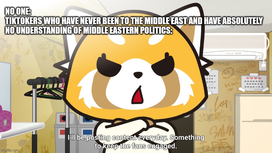 Tiktok politics | NO ONE:
TIKTOKERS WHO HAVE NEVER BEEN TO THE MIDDLE EAST AND HAVE ABSOLUTELY NO UNDERSTANDING OF MIDDLE EASTERN POLITICS: | image tagged in aggretsuko,israel,palestine,tiktok,instagram,middle east | made w/ Imgflip meme maker