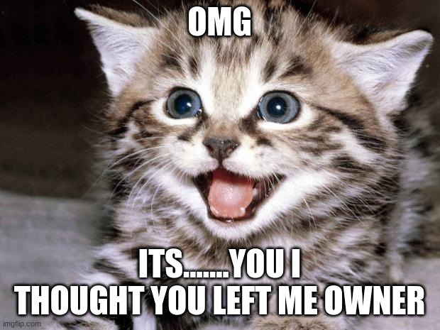 Uber Cute Cat | OMG; ITS.......YOU I THOUGHT YOU LEFT ME OWNER | image tagged in uber cute cat | made w/ Imgflip meme maker