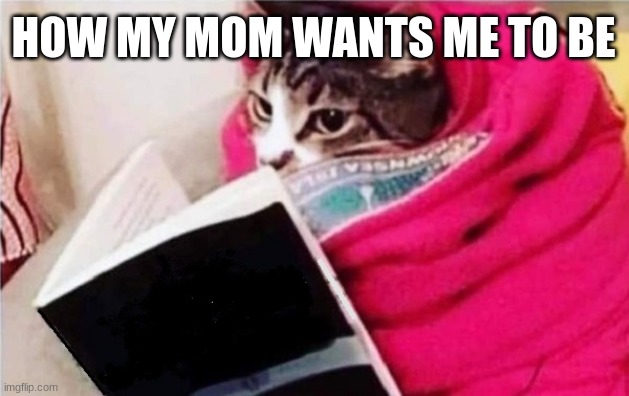 CAT READING A BOOK, CUTE CAT, KITTY | HOW MY MOM WANTS ME TO BE | image tagged in cat reading a book cute cat kitty | made w/ Imgflip meme maker