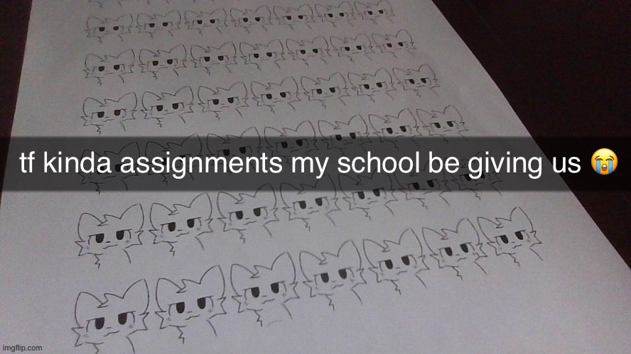 tf kinda assignments my school be giving us 😭 | made w/ Imgflip meme maker