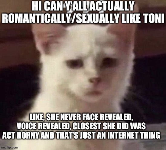 Umm. I meant to say “how”, not “hi”
Dang autocorrect | HI CAN Y’ALL ACTUALLY ROMANTICALLY/SEXUALLY LIKE TONI; LIKE, SHE NEVER FACE REVEALED, VOICE REVEALED, CLOSEST SHE DID WAS ACT HORNY AND THAT’S JUST AN INTERNET THING | made w/ Imgflip meme maker