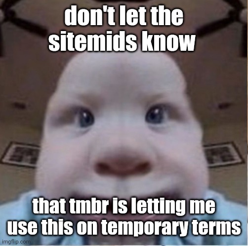 baab | don't let the sitemids know; that tmbr is letting me use this on temporary terms | image tagged in baab | made w/ Imgflip meme maker