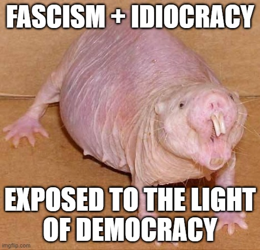 naked mole rat | FASCISM + IDIOCRACY EXPOSED TO THE LIGHT
OF DEMOCRACY | image tagged in naked mole rat | made w/ Imgflip meme maker