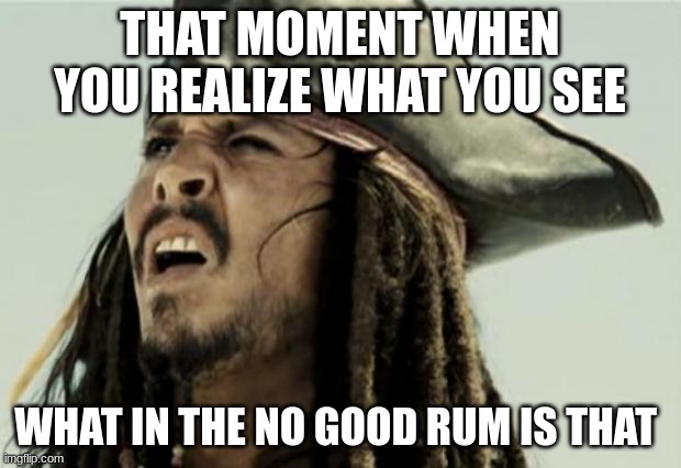 confused dafuq jack sparrow what | THAT MOMENT WHEN YOU REALIZE WHAT YOU SEE; WHAT IN THE NO GOOD RUM IS THAT | image tagged in confused dafuq jack sparrow what | made w/ Imgflip meme maker