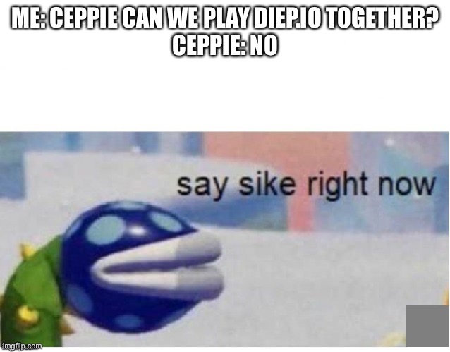 say sike right now | ME: CEPPIE CAN WE PLAY DIEP.IO TOGETHER?
CEPPIE: NO | image tagged in say sike right now | made w/ Imgflip meme maker
