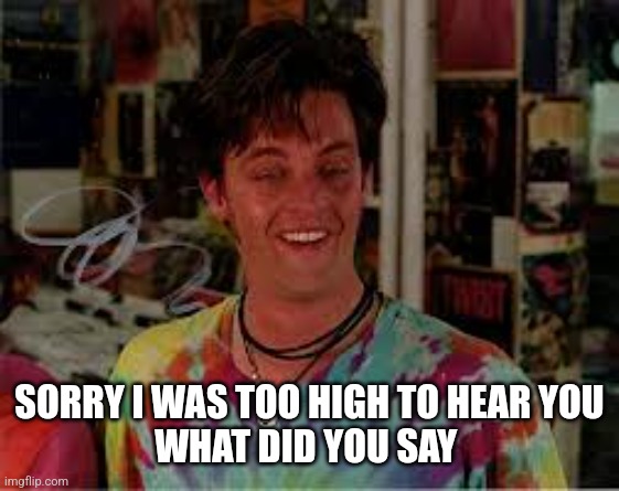 Brian Half Baked | SORRY I WAS TOO HIGH TO HEAR YOU
WHAT DID YOU SAY | image tagged in brian half baked | made w/ Imgflip meme maker