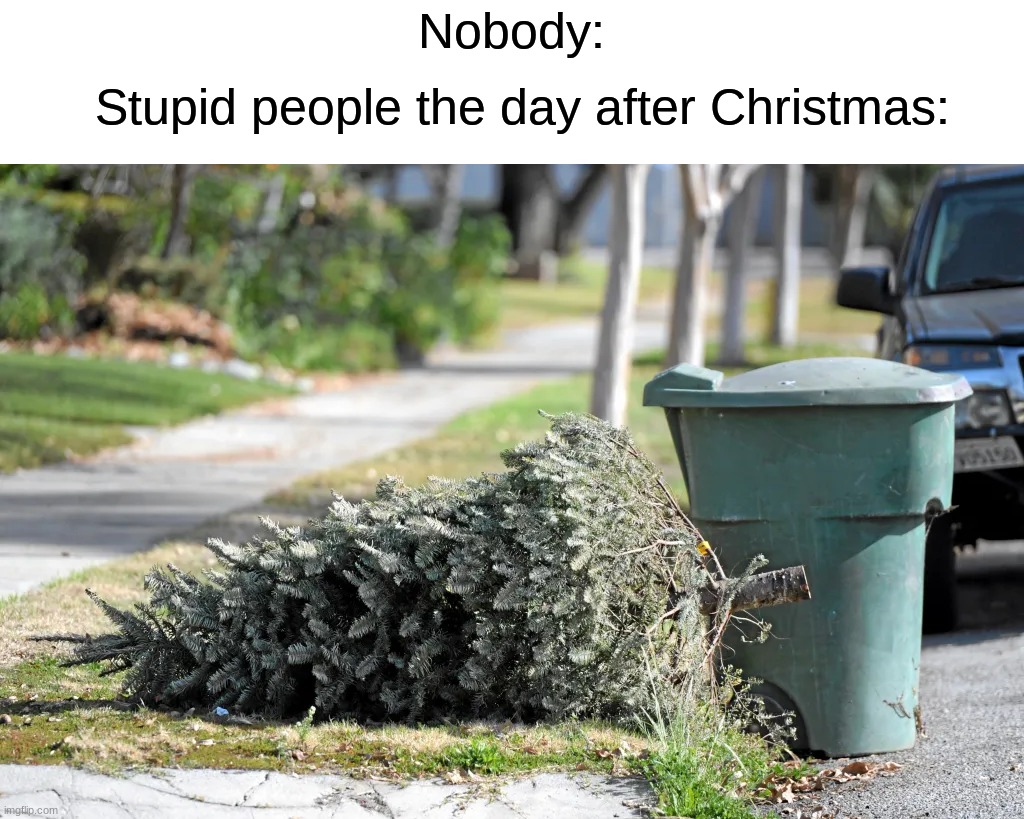 Who the hell throws their tree out the day after Christmas? | Nobody:; Stupid people the day after Christmas: | image tagged in memes,funny,christmas tree,true story,stupid people,trash | made w/ Imgflip meme maker